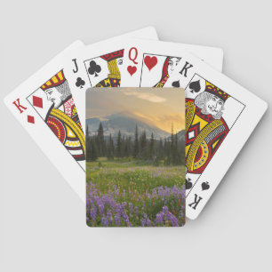 Baraja De Cartas Terreno de caza de Indian Henry al amanecer