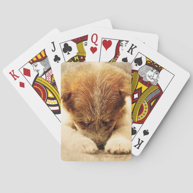 Baraja De Cartas Terrible (Reverso)
