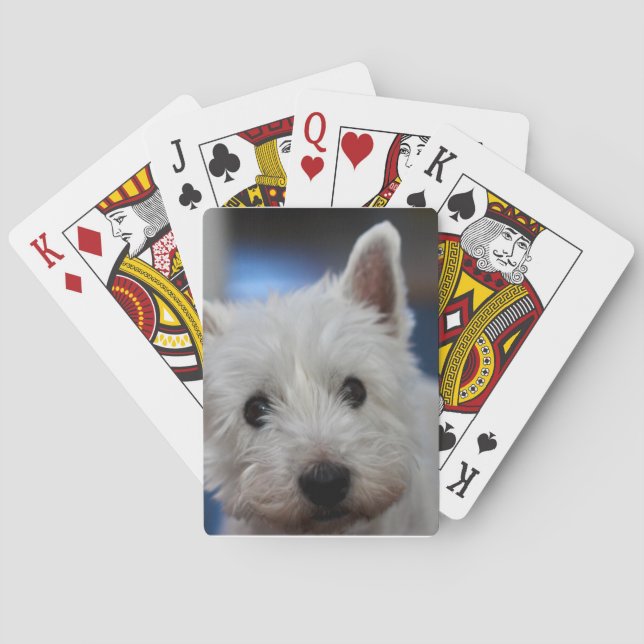 Baraja De Cartas Terrier blanco ultracompacto (Reverso)