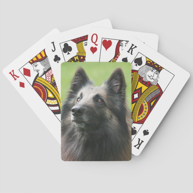 Baraja De Cartas Tervuren belga (Reverso)