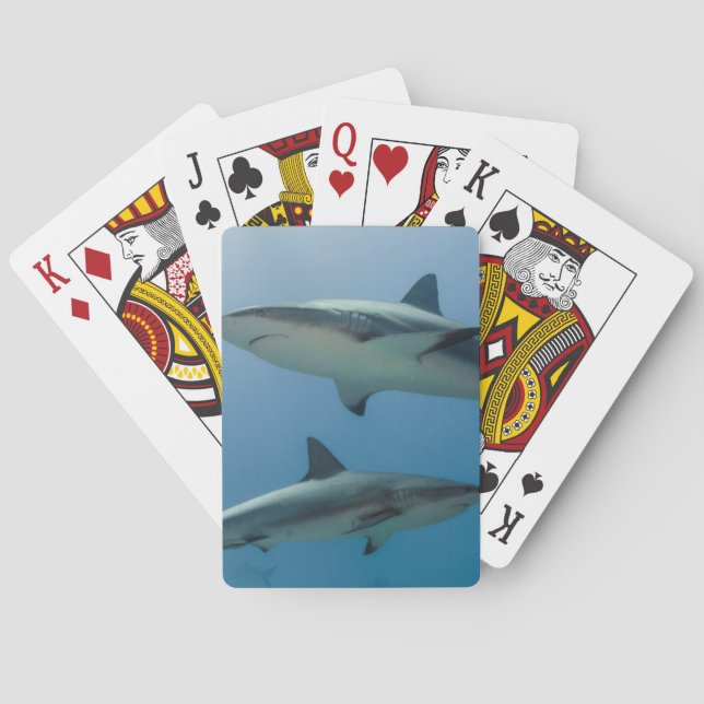 Baraja De Cartas Tiburón de arrecife del Caribe (Reverso)