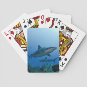 Baraja De Cartas Tiburón de arrecife del Caribe Jardines de la Rein