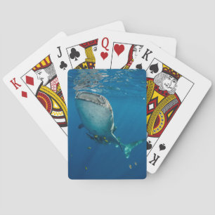 Baraja De Cartas Tiburón y pescados de ballena