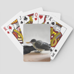 Baraja De Cartas Tidi my Bird the Parus Major