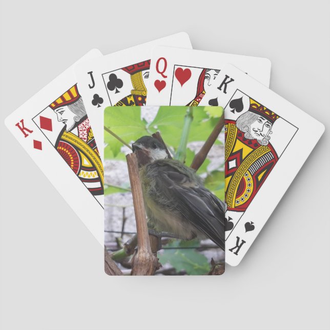 Baraja De Cartas Tidi my Bird the Parus Major (Reverso)