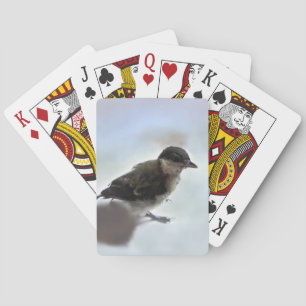 Baraja De Cartas Tidi my Bird the Parus Major