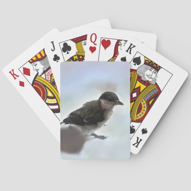 Baraja De Cartas Tidi my Bird the Parus Major (Reverso)