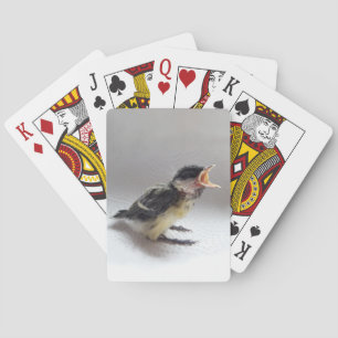 Baraja De Cartas Tidi my Bird the Parus Major