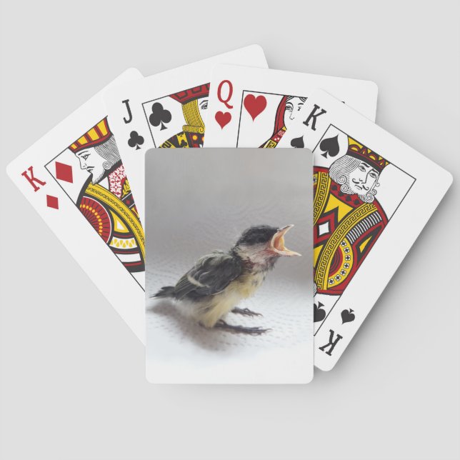 Baraja De Cartas Tidi my Bird the Parus Major (Reverso)