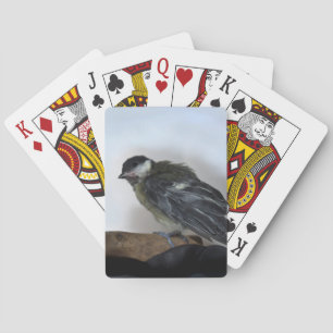 Baraja De Cartas Tidi my Bird the Parus Major