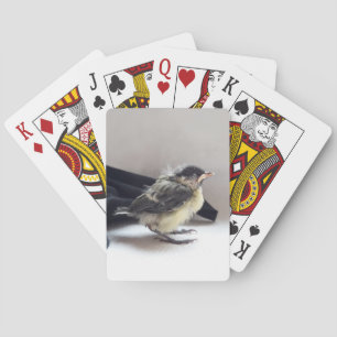 Baraja De Cartas Tidi my Bird the Parus Major