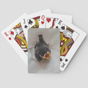 Baraja De Cartas Tidi my Bird the Parus Major