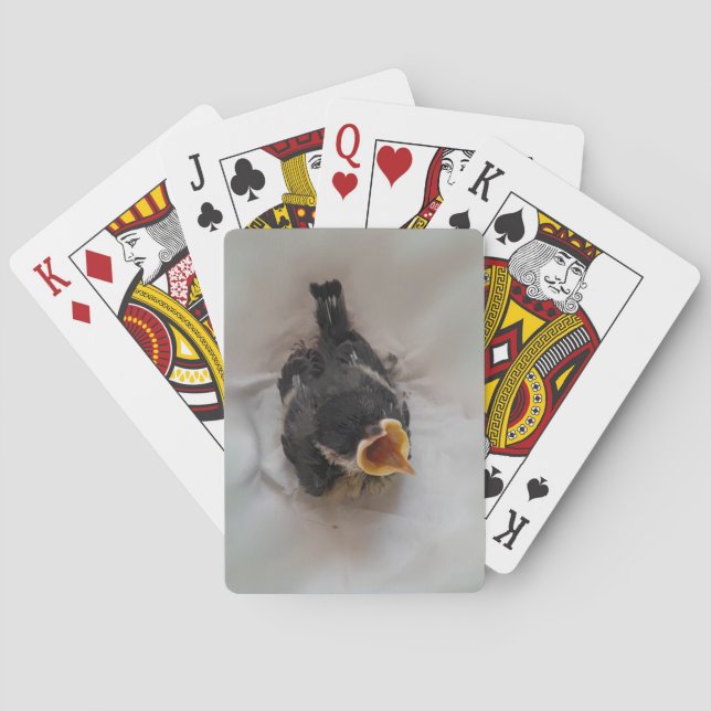 Baraja De Cartas Tidi my Bird the Parus Major (Reverso)