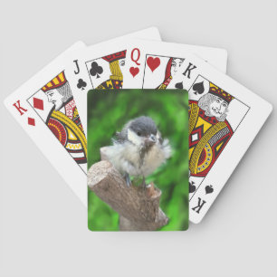 Baraja De Cartas Tidi my Bird the Parus Major
