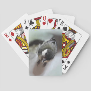 Baraja De Cartas Tidi my Bird the Parus Major