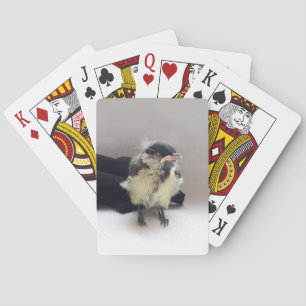 Baraja De Cartas Tidi my Bird the Parus Major