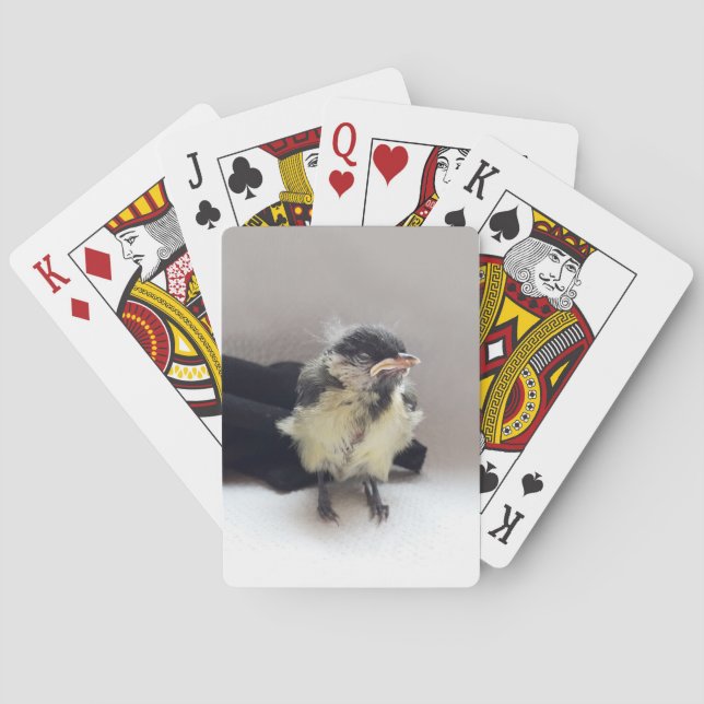 Baraja De Cartas Tidi my Bird the Parus Major (Reverso)