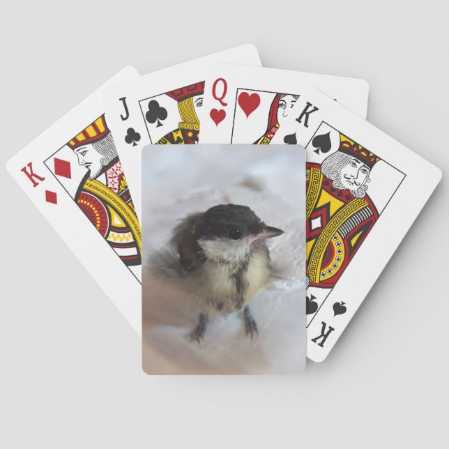 Baraja De Cartas Tidi my Bird the Parus Major (Reverso)