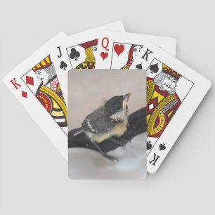 Baraja De Cartas Tidi my Bird the Parus Major