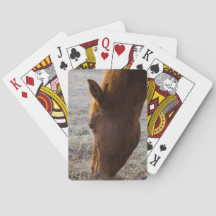 Baraja De Cartas Tiempo De Comer