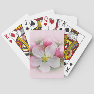 Baraja De Cartas Tiempo de expansión de Apple