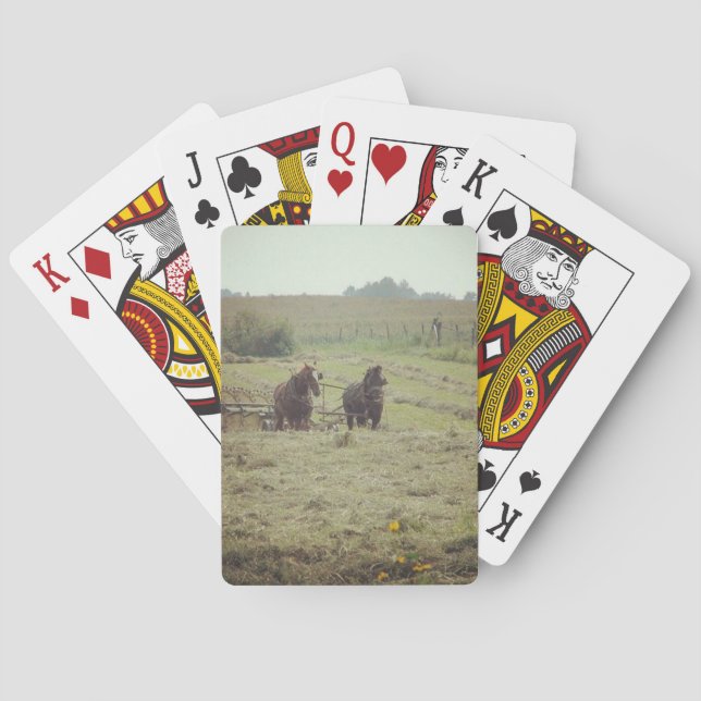 Baraja De Cartas Tiempo de transmisión (Reverso)