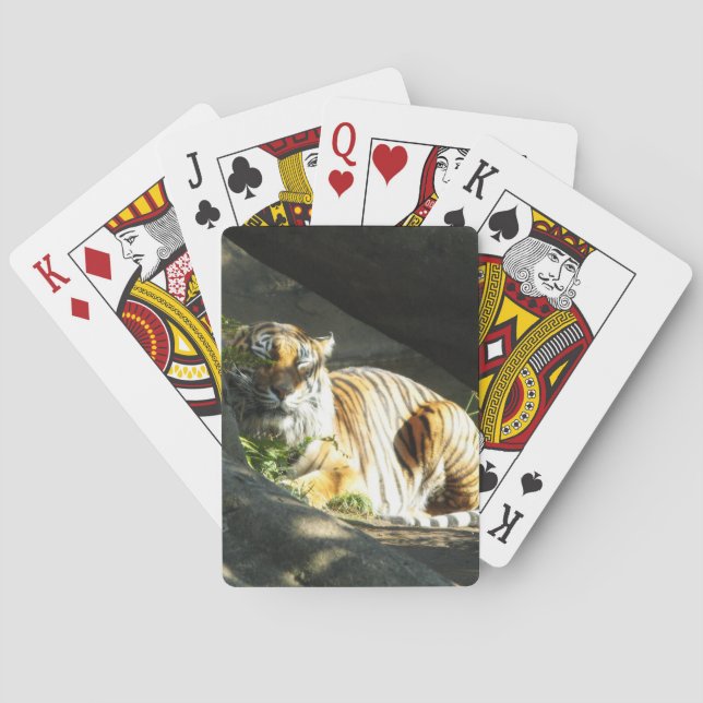 Baraja De Cartas Tiger Catnap (Reverso)