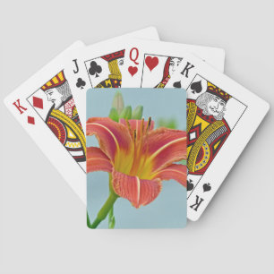 Baraja De Cartas Tiger Daylily
