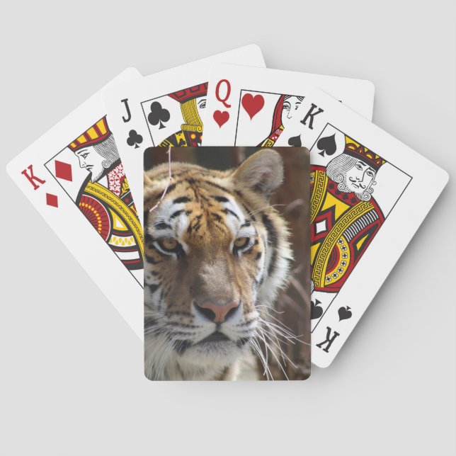 Baraja De Cartas Tigre (Reverso)