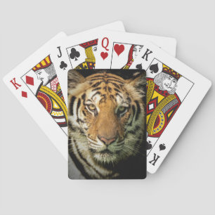 Baraja De Cartas tigre