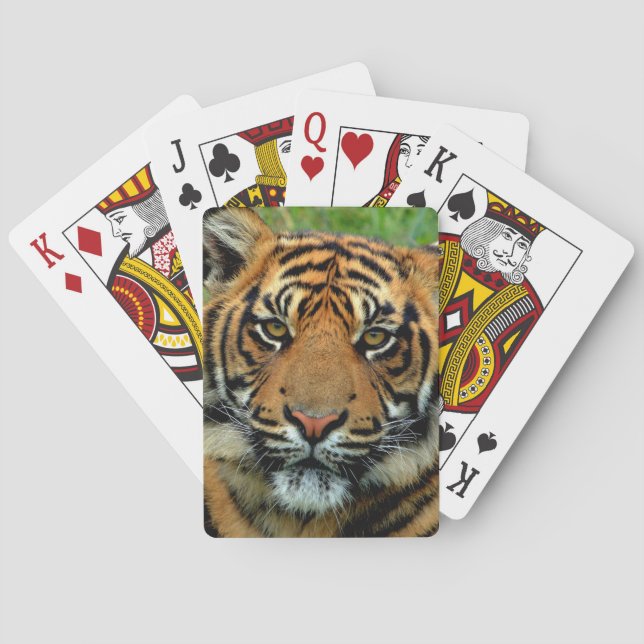 Baraja De Cartas Tigre (Reverso)