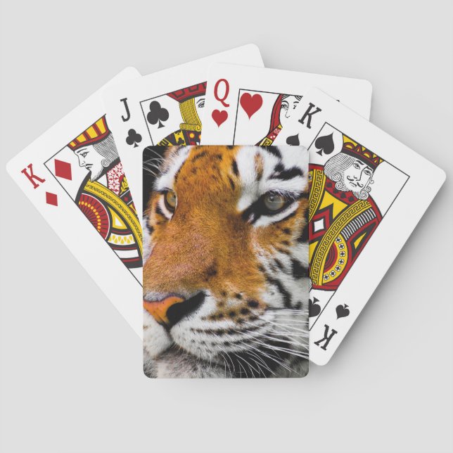 Baraja De Cartas Tigre (Reverso)