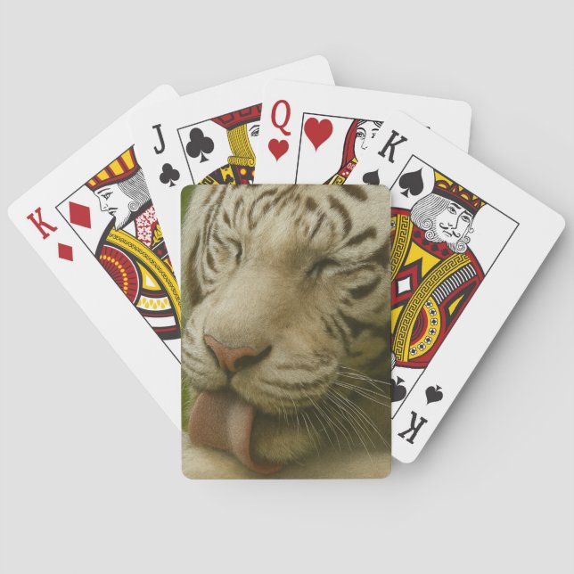 Baraja De Cartas Tigre blanco en ritual de cultivo privado (Reverso)