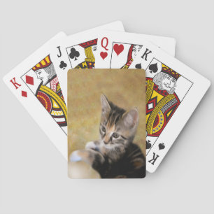 Baraja De Cartas Tigre de la reunión