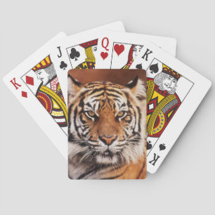 Baraja De Cartas Tigre de Sumatra