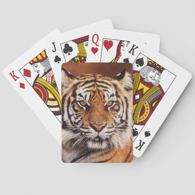 Baraja De Cartas Tigre de Sumatra (Reverso)
