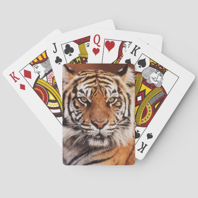Baraja De Cartas Tigre de Sumatra (Reverso)