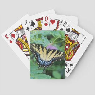 Baraja De Cartas Tigre del Este