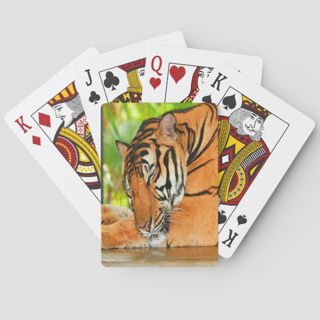 Baraja De Cartas Tigre durmiente (Reverso)