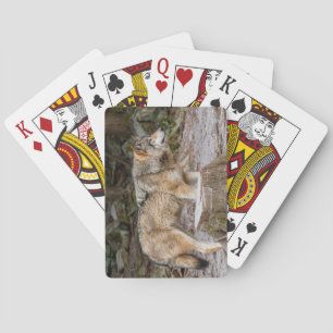 Baraja De Cartas Timber Wolf Placemat