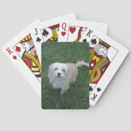 Baraja De Cartas Tipo Mutt de "Benji" del moreno en hierba
