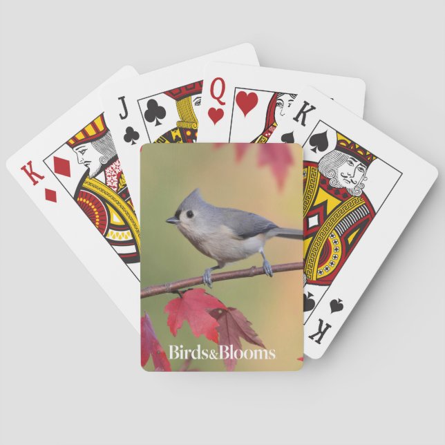 Baraja De Cartas Titmice copetudos (Reverso)