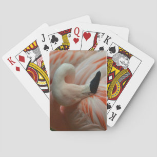Baraja De Cartas ¡Todo flamenco!