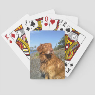 Baraja De Cartas tólar mojado