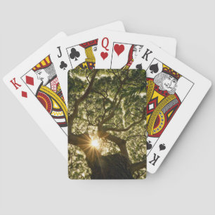 Baraja De Cartas Toldo de baniano Sunstar