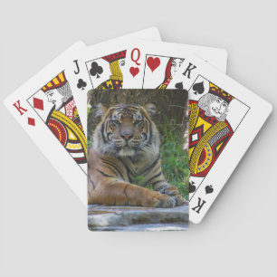 Baraja De Cartas Tony