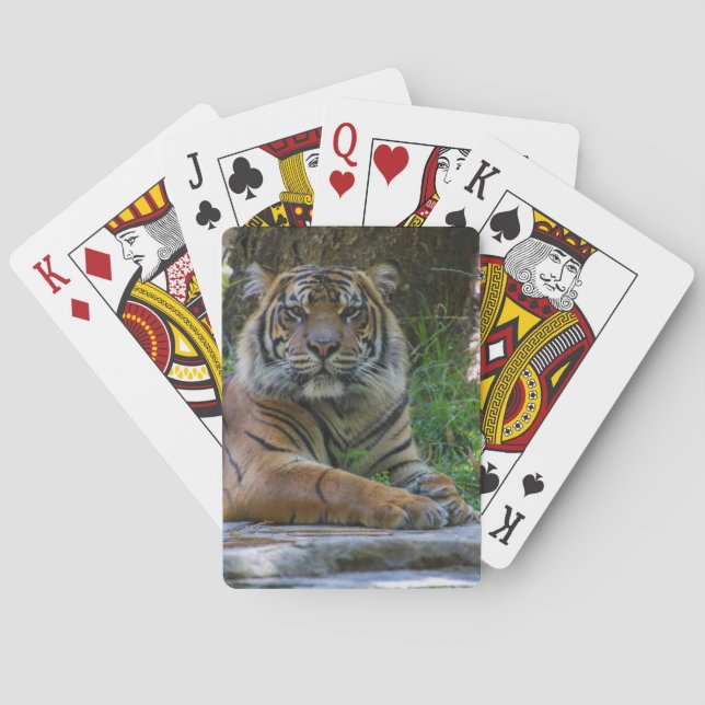 Baraja De Cartas Tony (Reverso)