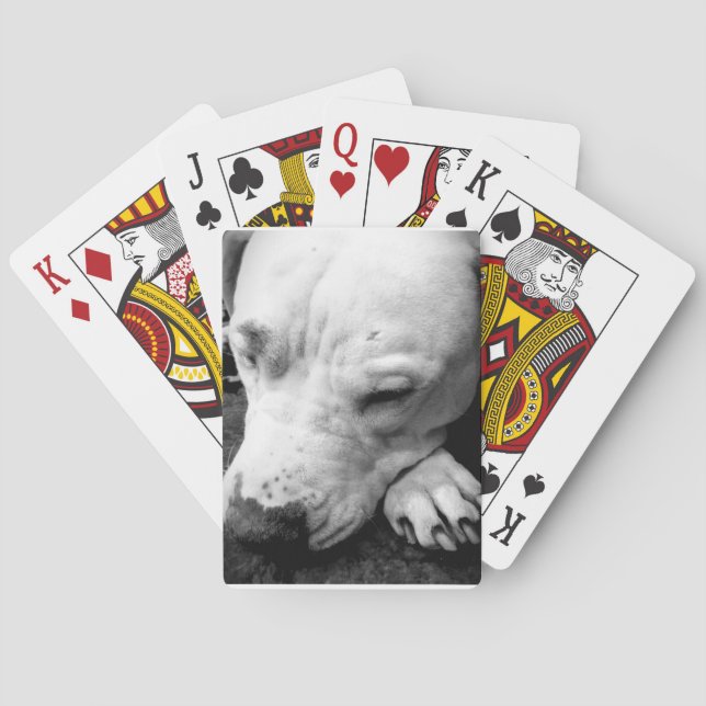 Baraja De Cartas toro blanco de cicatrices (Reverso)