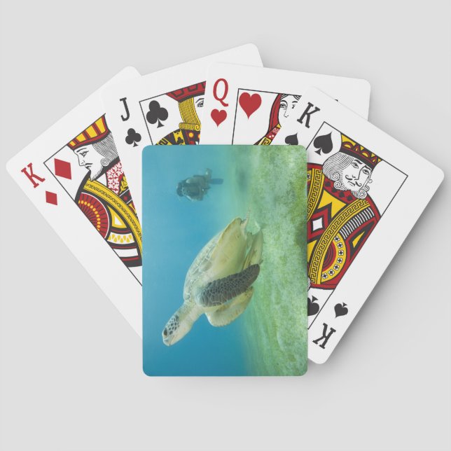 Baraja De Cartas Tortuga (Reverso)