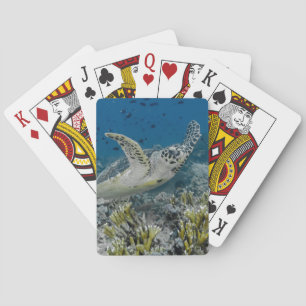 Baraja De Cartas Tortuga Carey Nadando